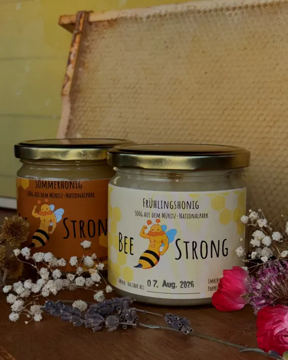 Gebrandete BeeStrong-Honiggläser vor einer Honigwabe